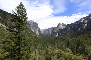 Yosemite Milli Parkı, ABD
