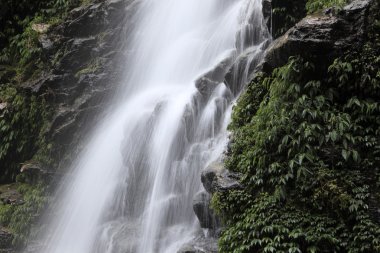 Şelale: Sikkim, India