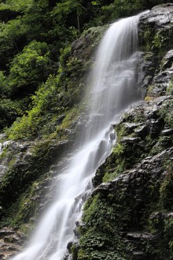 Şelale: Sikkim, India