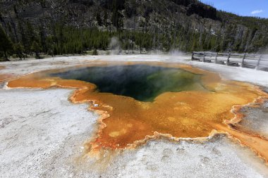 Yellowstone Ulusal Parkı 'nda Gayzer
