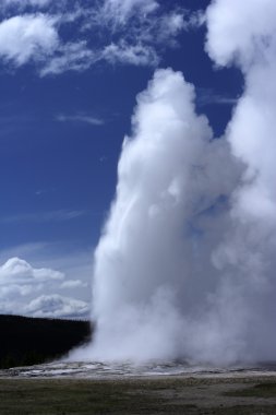Yellowstone Ulusal Parkı 'nda Gayzer