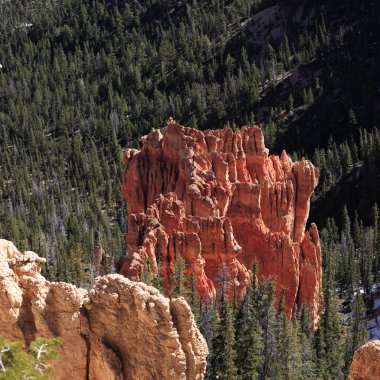 Güzel kaya oluşumları at Bryce Canyon