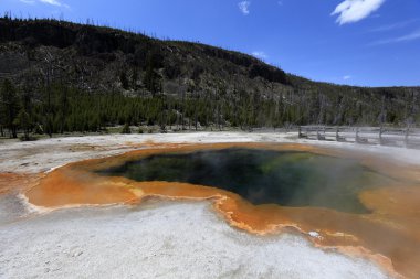 Yellowstone Ulusal Parkı 'nda Gayzer