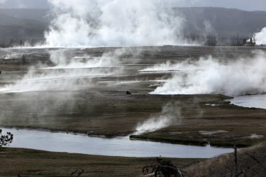 Yellowstone Ulusal Parkı 'nda Gayzer