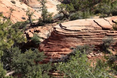 Güzel kaya oluşumları at Bryce Canyon