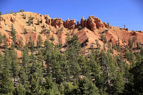 Beautiful rock formations at Bryce Canyon — Stock Photo, Image