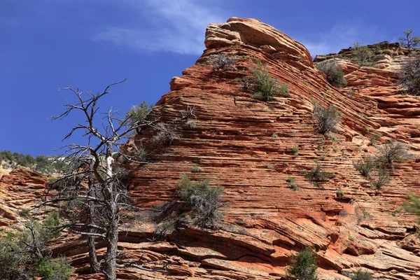 Wunderschöne Felsformationen am Bryce Canyon — Stockfoto