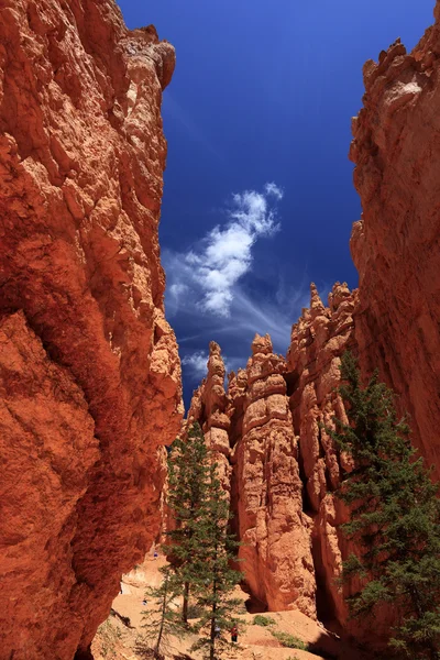 Wunderschöne Felsformationen am Bryce Canyon — Stockfoto