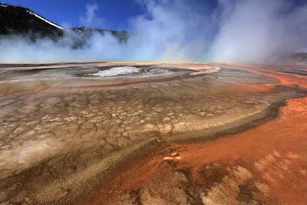 Geyser entouré d'algues, couches bactériennes — Photo