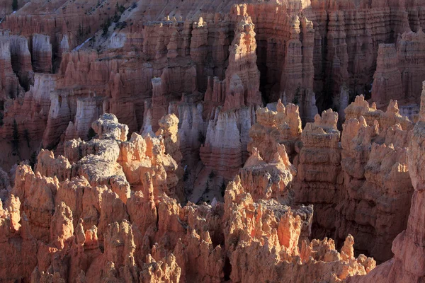 Beautiful rock formations at Bryce Canyon — Stock Photo, Image