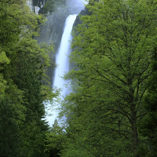 Wasserfall im Yosemite Nationalpark — Stockfoto