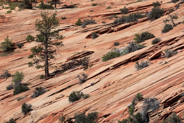 Wunderschöne Felsformationen am Bryce Canyon — Stockfoto