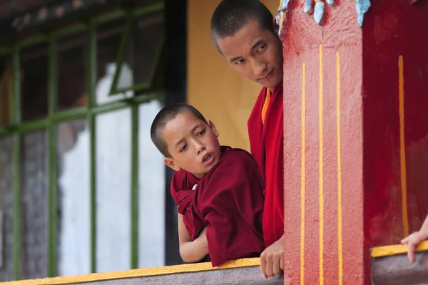 Budist rahip öğrencileri — Stok fotoğraf
