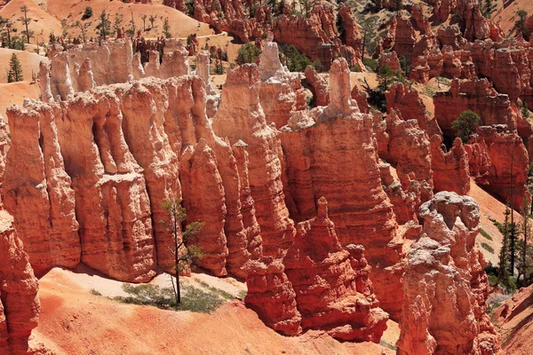 Beautiful rock formations at Bryce Canyon — Stock Photo, Image