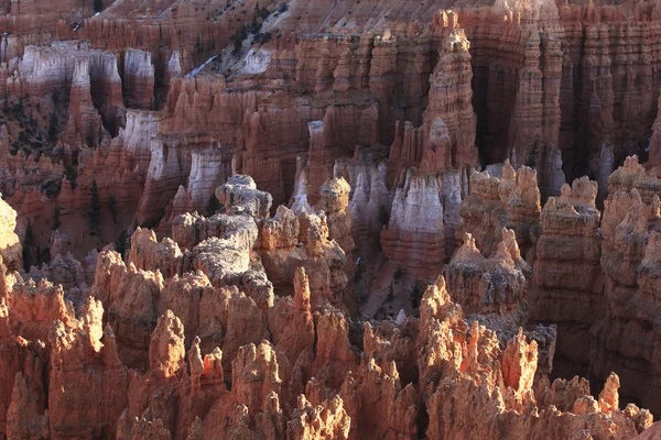 Beautiful rock formations at Bryce Canyon — Stock Photo, Image