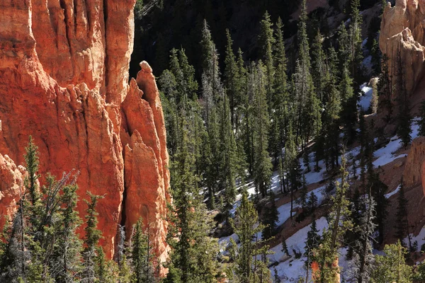 Beautiful rock formations at Bryce Canyon — Stock Photo, Image