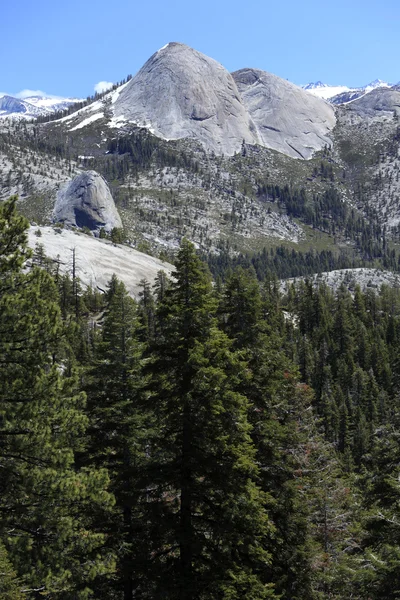 Yosemite Nationalpark, Vereinigte Staaten — Stockfoto