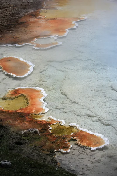 Geyser cercado por algas, camadas bacterianas — Fotografia de Stock