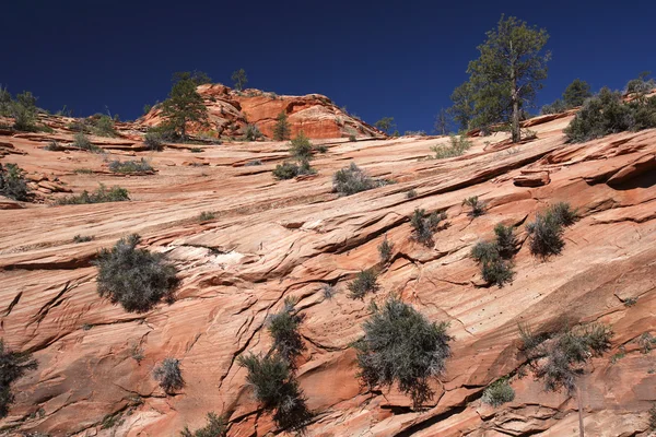 Prachtige rotsformaties op Bryce Canyon — Stockfoto