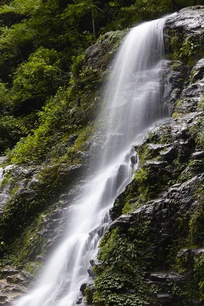 Wasserfall bei sikkim, Indien — Stockfoto