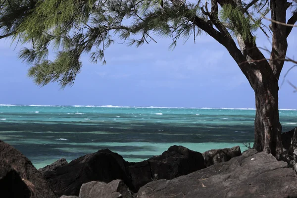 Ile Aux Cerf, Mauritius — Stok fotoğraf