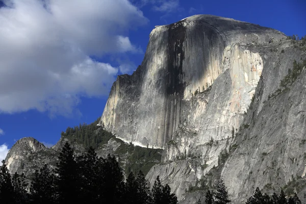 Park Narodowy Yosemite, usa — Zdjęcie stockowe