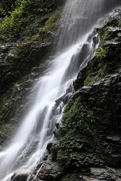 Wasserfall bei sikkim, Indien — Stockfoto