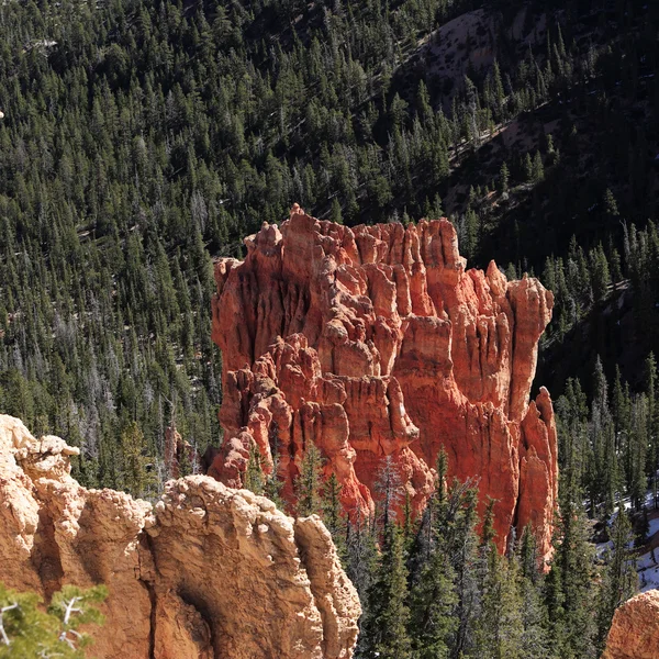 Beautiful rock formations at Bryce Canyon — Stock Photo, Image