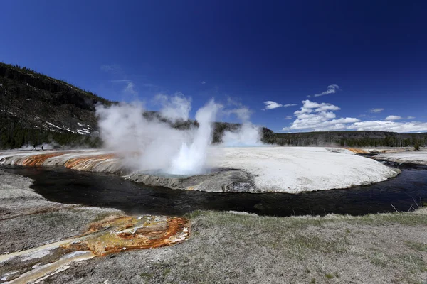 Geyser med vakre omgivelser – stockfoto