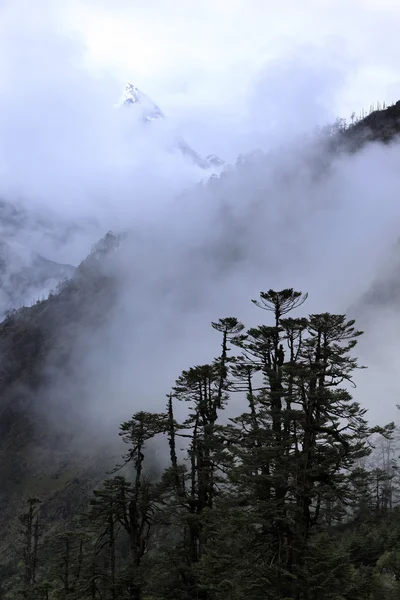 Nube y niebla cubren las montañas —  Fotos de Stock