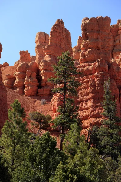 Wunderschöne Felsformationen am Bryce Canyon — Stockfoto