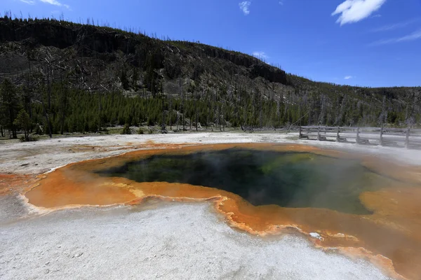 Geyser au parc national Yellowstone — Photo