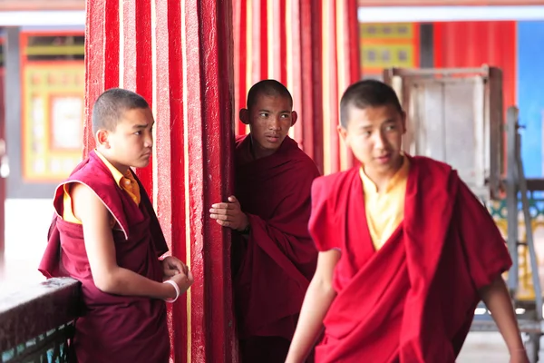 Buddhist Monk students — Stock Photo, Image