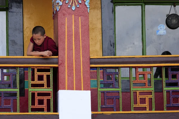Buddhistischer Mönchsschüler — Stockfoto