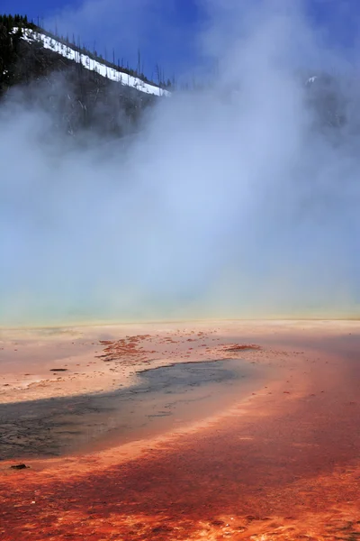 Geyser surrounded by Algae, bacterial layers — Stock Photo, Image