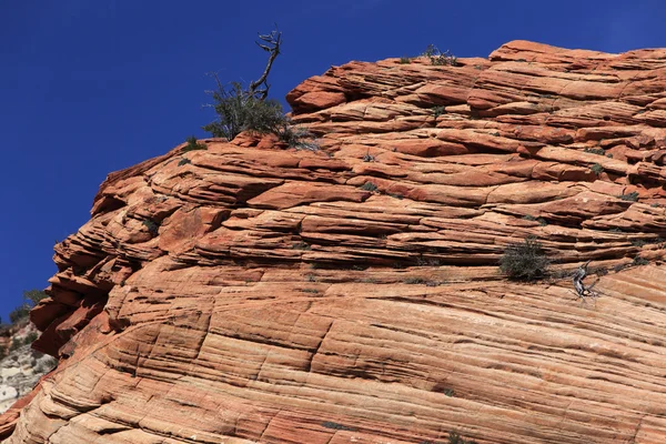 Wunderschöne Felsformationen am Bryce Canyon — Stockfoto