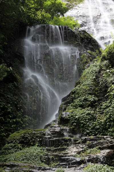 Şelale: Sikkim, India — Stok fotoğraf