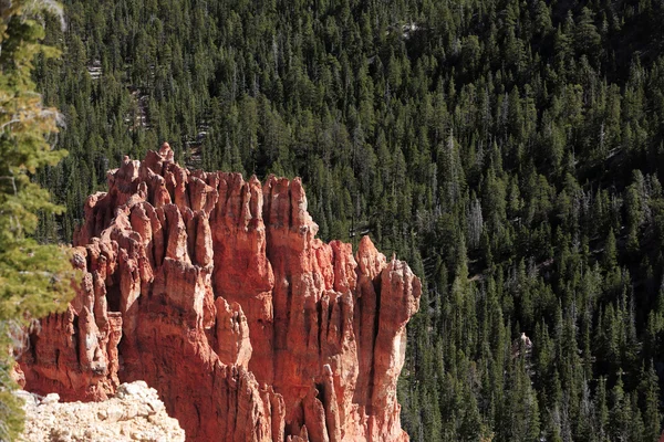 Beautiful rock formations at Bryce Canyon — Stock Photo, Image