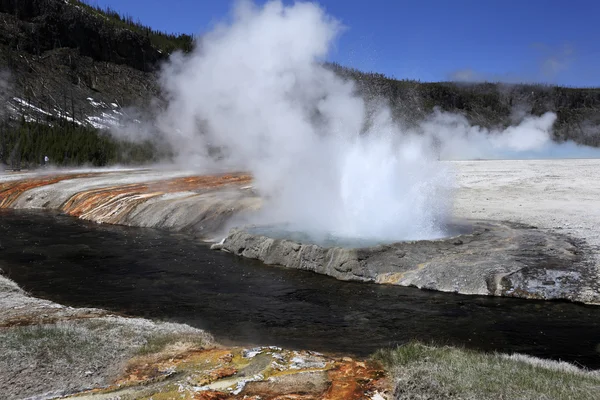 Geyser med vakre omgivelser – stockfoto