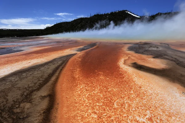 Geyser entouré d'algues, couches bactériennes — Photo