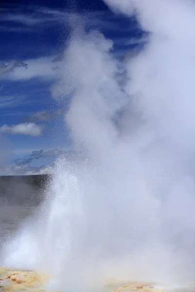 Geysir im Yellowstone National Park — Stockfoto