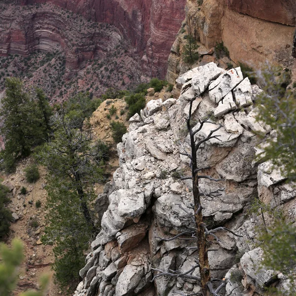 Wonderful landscapes at Grand canyon — Stock Photo, Image