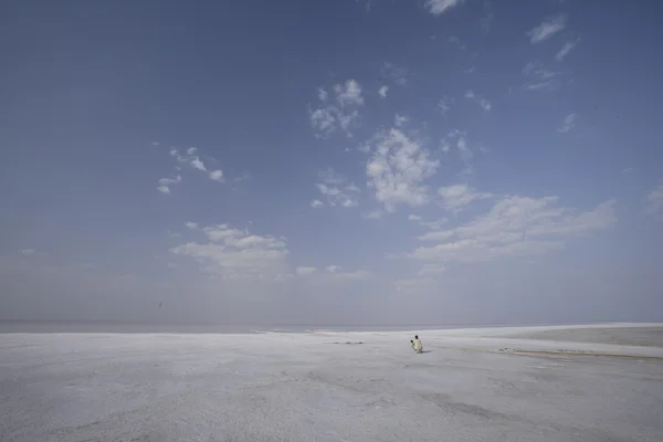 Hindistan'da tuzlu manzaralar