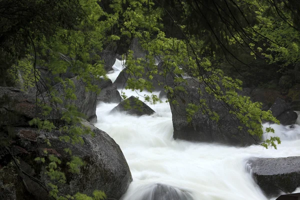 Wasserfall im Yosemite Nationalpark — Stockfoto