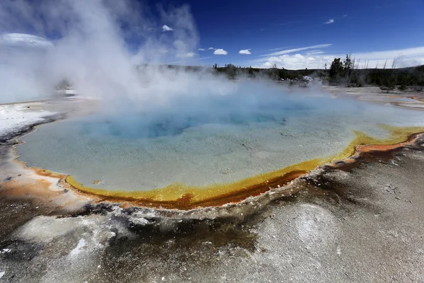 Geyser at Yellowstone national park Royalty Free Stock Photos