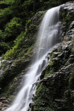 Şelale: Sikkim, India
