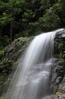 Şelale: Sikkim, India
