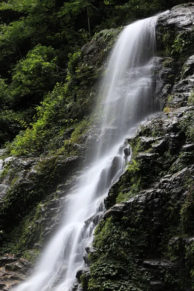 Vodopád v Sikkimu, Indie — Stock fotografie