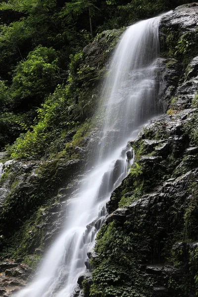 Vattenfall på Sikkim, Indien — Stockfoto