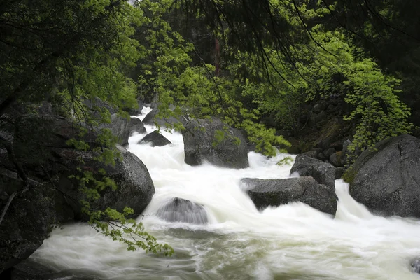 Wasser fließt durch Felsen und Wald — Stockfoto